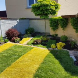 Abattage : enlevez les arbres dangereux ou indésirables de votre jardin en toute sécurité Romorantin-Lanthenay